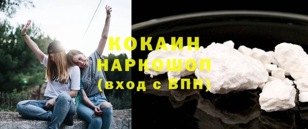 мдпв Елизово