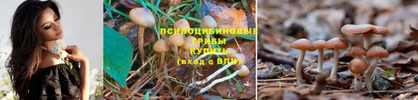мдпв Елизово