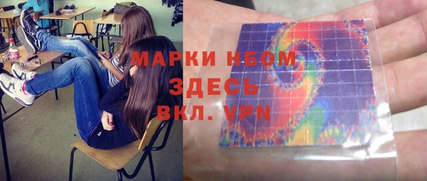 мдпв Елизово